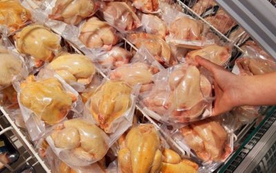 Între bucuria gustului și controversele legate de siguranța alimentelor, puiul cu pielea galbenă a devenit recent subiect de dezbatere în România