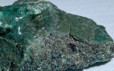 Insula vulcanică Trindade, situată la peste o mie de kilometri de coasta braziliană a statului Espírito Santo, aduce în prim-plan o problemă de mediu extrem de gravă care riscă să afecteze ecosistemele marine pentru generații întregi