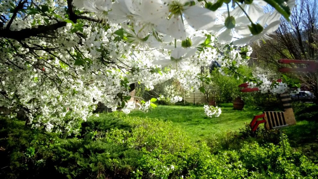 România se confruntă în această săptămână cu o vreme inedit de caldă pentru perioada anului, condiții ce alertează specialiștii meteorologi