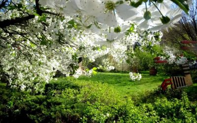 România se confruntă în această săptămână cu o vreme inedit de caldă pentru perioada anului, condiții ce alertează specialiștii meteorologi