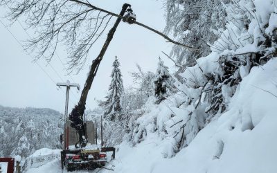 Ninsoare și viscol în sud-vestul țării; traficul în zona Horezu restricționat