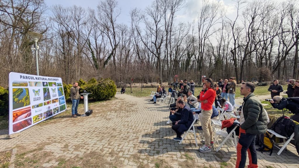 Pădurea Băneasa, o zonă emblematică pentru capitala României, intră oficial în procesul de protecție națională, fiind declarată arie naturală protejată