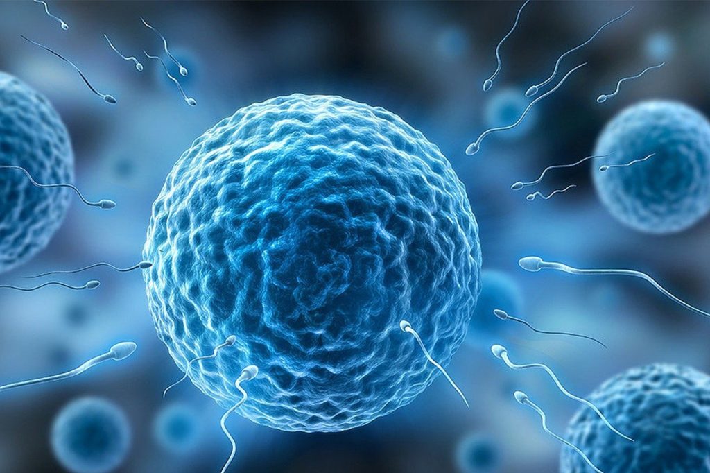 Colonizarea spațiului se lovește de un obstacol surprinzător: microgravitația afectează grav procesul de reproducere umană, iar cercetătorii încearcă acum soluții pentru a depăși această barieră în contextul unei eventuale expansiuni a speciei noastre dincolo de Terra