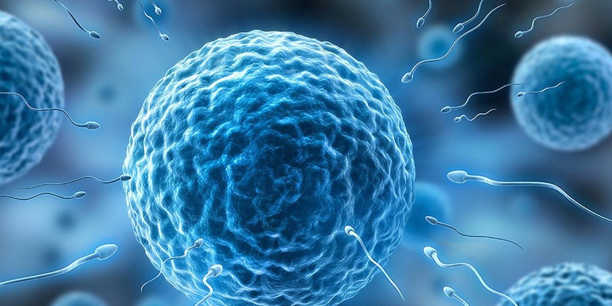 Microgravitația afectează spermatozoizii, complicând reproducerea în spațiu