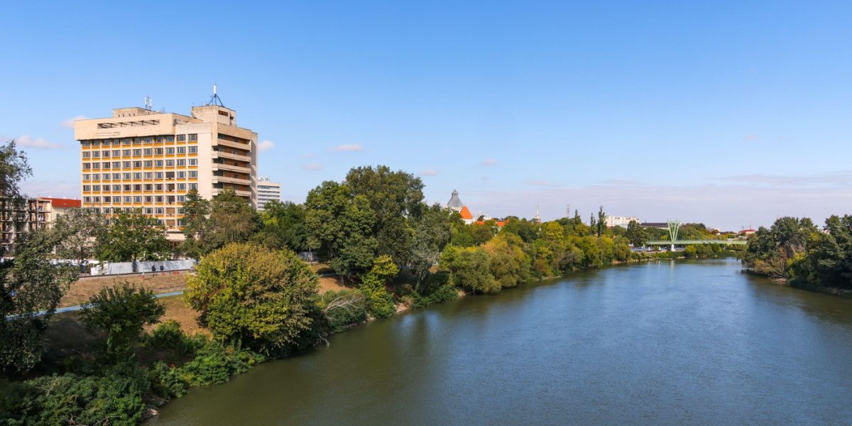 Animal sălbatic observat frecvent în oraș din România