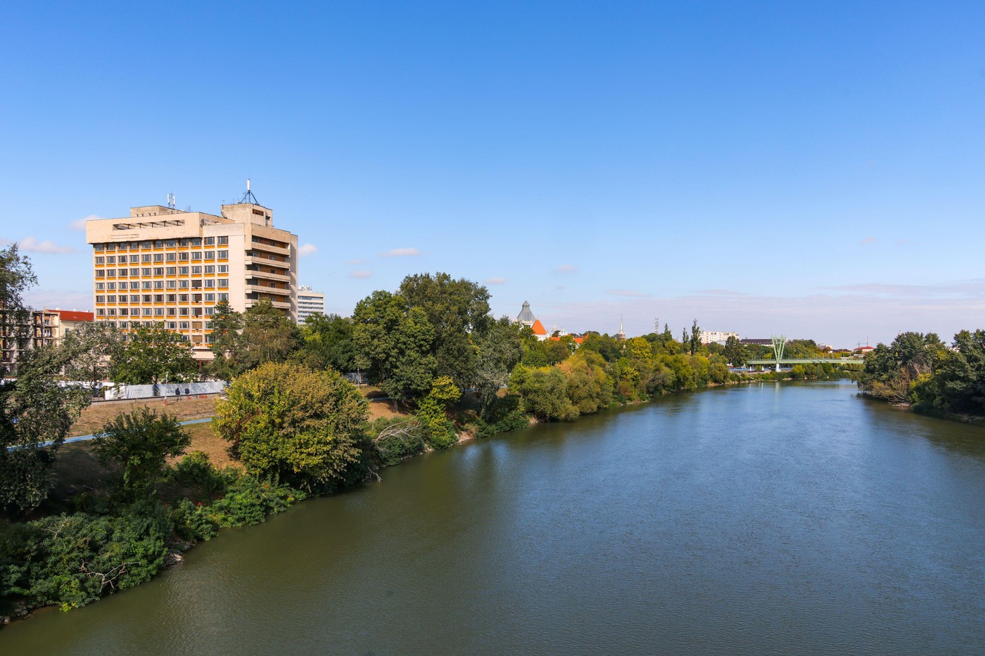 Animal sălbatic observat frecvent în oraș din România