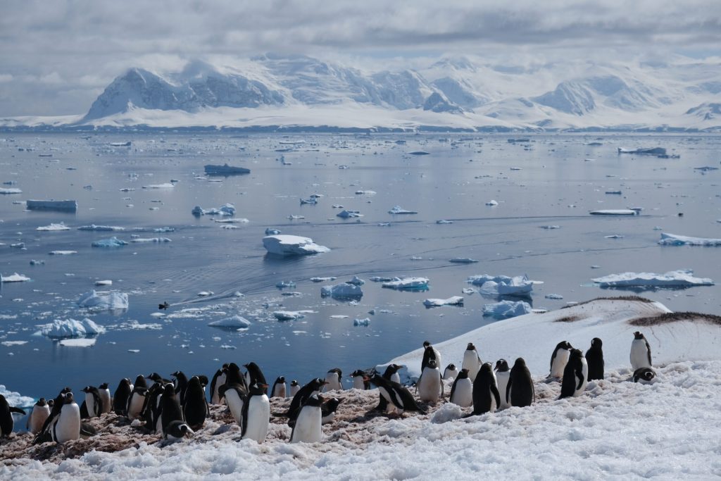Oceanul Sudic, un vast teren al vieții marine și al proceselor climatice, ascunde încă numeroase mistere, iar cercetările recente aduc în prim-plan un aspect esențial: rolul microproceselor microbiene în reglarea climei globale