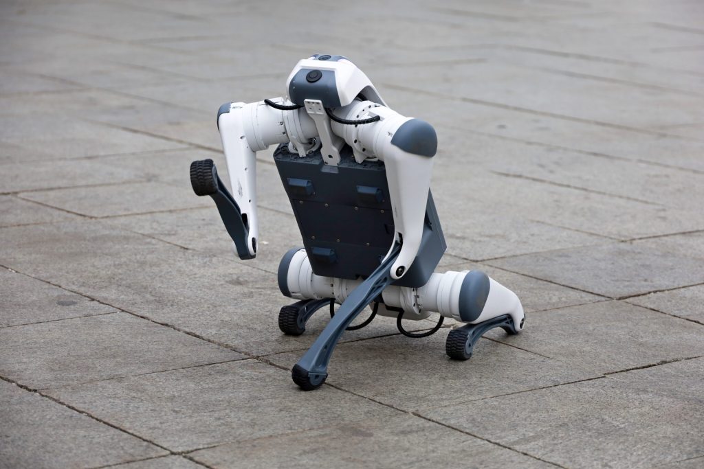 Capitoul Venezuelei face un pas îndrăzneț spre modernizarea securității urbane, introducând câini robot echipați cu inteligență artificială în patrulările zilnice din spațiile publice