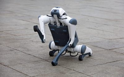 Capitoul Venezuelei face un pas îndrăzneț spre modernizarea securității urbane, introducând câini robot echipați cu inteligență artificială în patrulările zilnice din spațiile publice