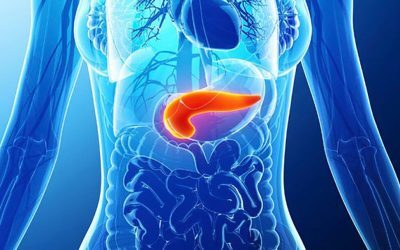 Descoperire revoluționară în lupta împotriva cancerului pancreatic: mecanismul ascuns al rezistenței la chimioterapie Cancerul pancreatic continuă să fie unul dintre cele mai agresive și letale tipuri de cancer, cu rate de supraviețuire extrem de scăzute și tratamente dificil de eficientizat