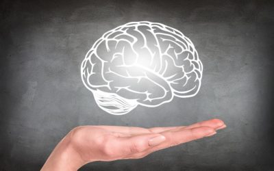 O descoperire remarcabilă în neuroștiință a reaprins speranța că, în viitor, poate fi posibilă păstrarea și chiar reactivarea creierelor umane