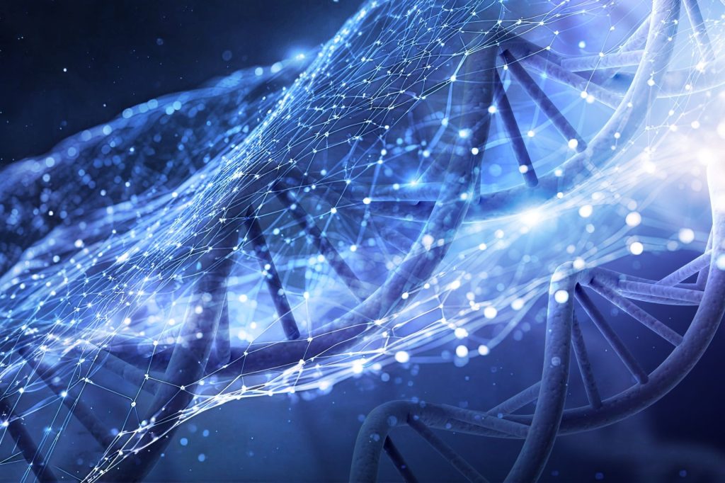 Descoperire revoluționară despre ADN-ul peștilor ciclide din Lacul Malawi: segmente speciale care accelerează evoluția Un nou studiu aruncă lumină asupra mecanismelor genetice ce stau la baza exploziei evolutive a peștilor ciclide din Lacul Malawi, una dintre cele mai spectaculoase expresii ale biodiversității din ultimii decenii