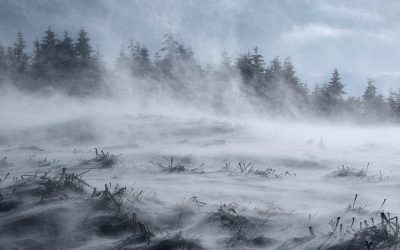 Cod portocaliu de ninsori și vânt intens în patru județe montane, vizibilitate scăzută