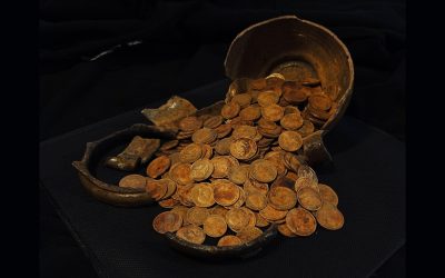 Valoarea totală depășește 500.000 de dolari