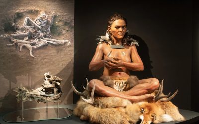 Descoperire arheologică revoluționară în Suedia: un copil din Epoca de Piatră îngropat în piele de cǎprioarǎ și împodobit cu pene de pasăre O serie de descoperiri remarcabile din domeniul arheologiei au fost făcute recent în sudul Suediei, într-un sit care datează din urmă cu peste 7.000 de ani