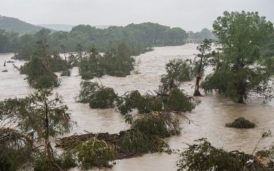 Google folosește pentru prima dată în mod direct inteligența artificială de tip Large Language Model (LLM) pentru prognozarea viiturilor, o abordare inovatoare într-un domeniu considerat extrem de dificil din punct de vedere științific