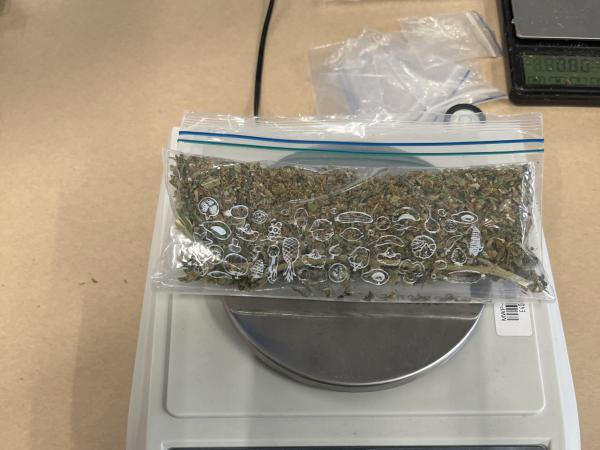 Trei adolescenți din Noua Zeelandă au fost, recent, implicați într-un incident neașteptat și destul de periculos în jurul unui magazin caritabil, după ce au abandonat din greșeală un rucsac plin cu substanțe interzise și bani