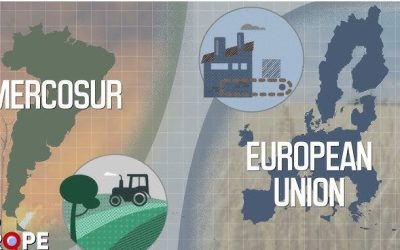 Paraguay a încheiat oficial procesul de ratificare a acordului de liber schimb între Uniunea Europeană și Mercosur, devenind astfel ultima țară sud-americană care acceptă acest tratat crucial pentru comerțul internațional