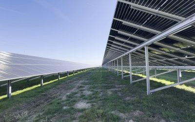 România a atins un nou record de producție instantanee de energie fotovoltaică, consolidându-și astfel poziția pe harta Europei ca unul dintre cei mai dinamici crescutori ai parcurilor solare în ultimul an
