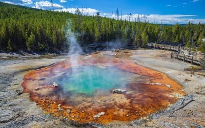 Gheizerul Echinus, cel mai mare gheizer acid din lume, și-a reluat activitatea după o pauză de peste cinci ani, provocând încântare atât în rândul turiștilor, cât și al cercetătorilor specializați în fenomene geotermale