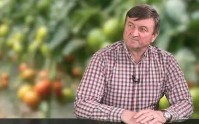 Prețurile legumelor din România, afectate de scumpirea carburanților și energiei Criza costurilor se reverberează în tot lanțul de aprovizionare cu produse proaspete, iar agricultorii români resimt deja efectele