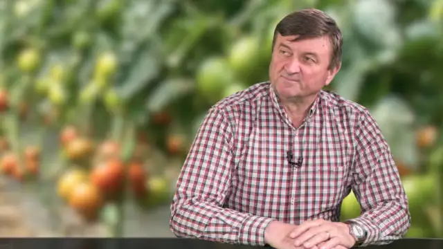 Criza carburanților crește prețul legumelor: un legumicultor vinde legături cu 3 lei