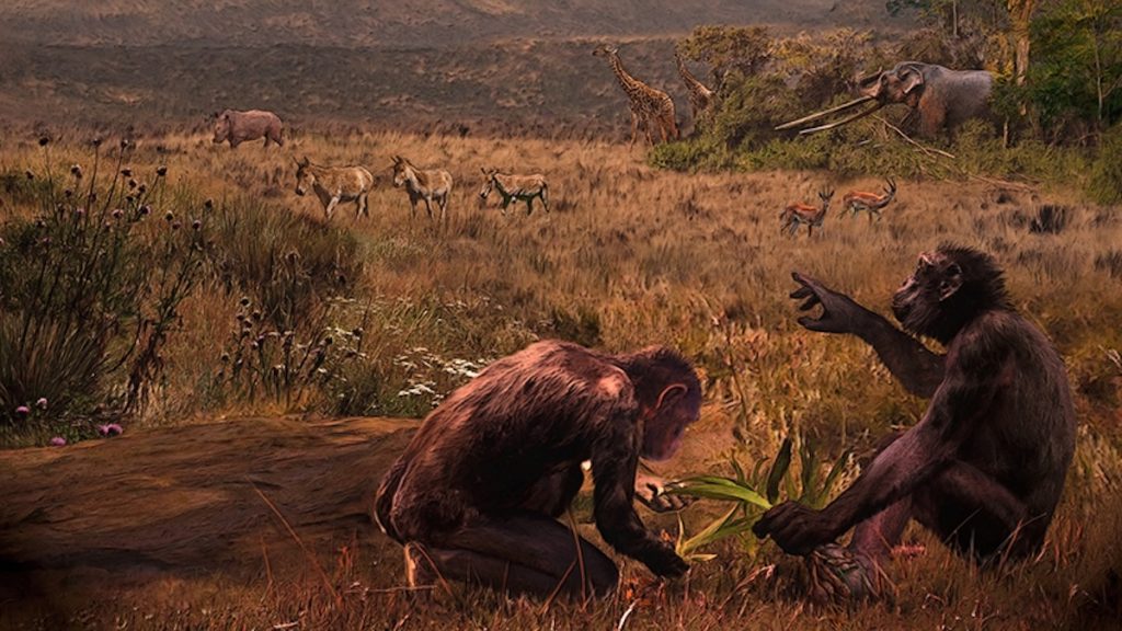 O descoperire arheologică îndrăzneaţă din Bulgaria stârnește deja dezbateri aprinse în comunitatea științifică, reaprinzând întrebările despre originea evoluției umane și locul în care s-au produs primele adaptări pentru munteția mersului pe două picioare