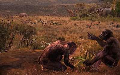 O descoperire arheologică îndrăzneaţă din Bulgaria stârnește deja dezbateri aprinse în comunitatea științifică, reaprinzând întrebările despre originea evoluției umane și locul în care s-au produs primele adaptări pentru munteția mersului pe două picioare