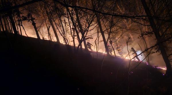 Trei zile de luptă neîntreruptă în vestul țării, în special în județele Satu Mare și Maramureș, au dus oficialii la solicitarea de intervenții speciale pentru stingerea incendiilor care au cuprins pădurile și terenurile agricole