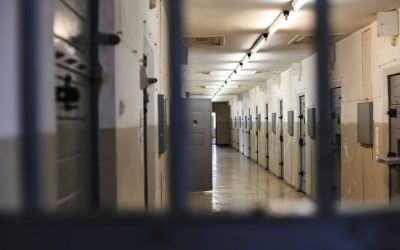 Înalta Curte de Casație și Justiție a pronunțat prima sentință în dosarul fostului ministru al Agriculturii, Adrian Chesnoiu, într-un caz ce a provocat valuri de dezbateri în mediul politic și în societatea civilă