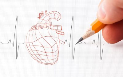 Inimile noastre, deși mici, sunt un mecanism complex și vital pentru menținerea vieții