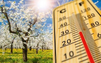 Vremea de primăvară își face simțită prezența în cea mai mare parte a țării, dar temperaturile nu sunt uniforme, iar zonele unde frigul persistă cu precădere sunt în continuare vizibile pe harta meteorologică