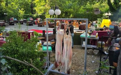 Mieii de Paște pot fi vânduți în târguri temporare; ANSVSA impune verificări și prezența unui medic veterinar