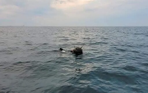 Ministerul Apărării: Minele marine din Marea Neagră sunt rezultatul acțiunilor Rusiei împotriva Ucrainei