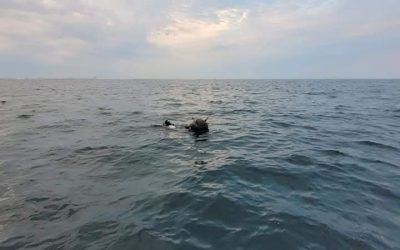 Mina marine din Marea Neagră: între acuzații și clarificări oficiale Tensiunea din zona Mării Negre a erupt din nou, odată cu reacțiile oficiale privind minele marine recent descoperite în apele internaționale