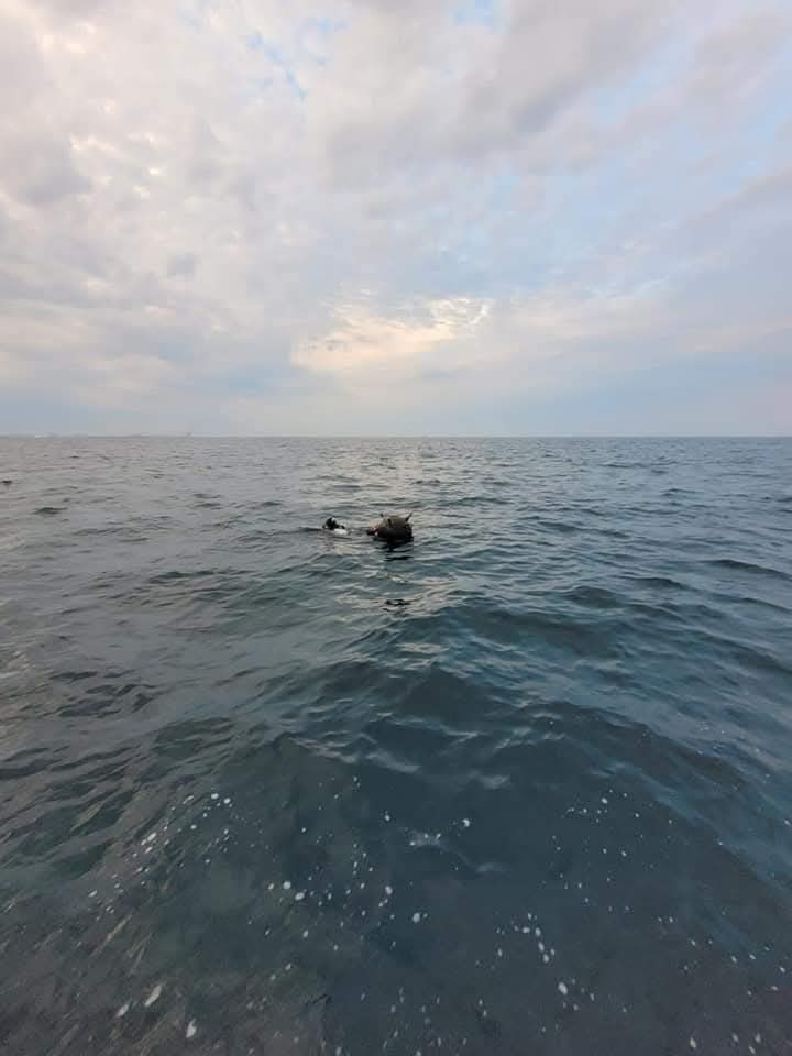 Mina marine din Marea Neagră: între acuzații și clarificări oficiale Tensiunea din zona Mării Negre a erupt din nou, odată cu reacțiile oficiale privind minele marine recent descoperite în apele internaționale