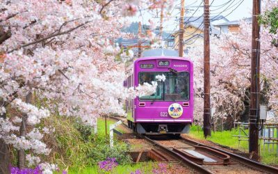 Kyoto, unul dintre cele mai vizitate și apreciate orașe din Japonia, a decis să-și mărească taxa turistică începând cu prima zi a lunii martie, într-o mișcare menită să facă față creșterii numărului de vizitatori și să protejeze patrimoniul cultural al orașului