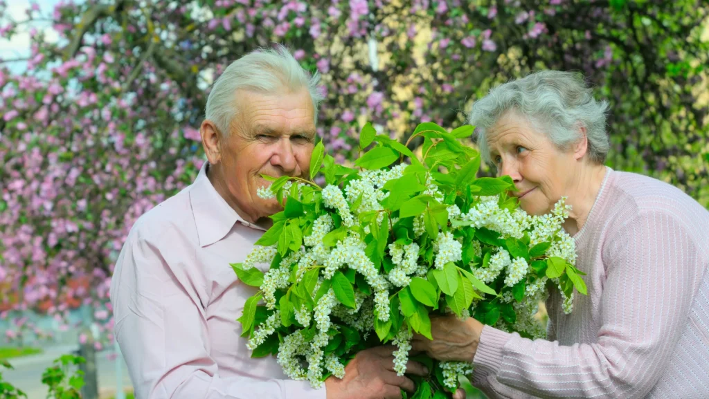 Guvernul Bolojan intenționează să ofere o mână de ajutor pensionarilor cu venituri modeste, printr-un proiect de Ordonanță de Urgență halucinant, ce prevede acordarea unui sprijin financiar în două tranșe, în anul 2026