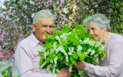 Guvernul Bolojan intenționează să ofere o mână de ajutor pensionarilor cu venituri modeste, printr-un proiect de Ordonanță de Urgență halucinant, ce prevede acordarea unui sprijin financiar în două tranșe, în anul 2026