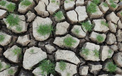 UE caută experți pentru a consolida reziliența apei într-un context global extrem de volatil Comisia Europeană a lansat oficial apelul pentru experți ce vor forma nucleul Platformei privind reziliența apei, un nou organism consultativ destinat sprijinirii implementării strategiei UE în domeniu