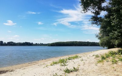 Poluare accidentală pe Dunăre în zona portului Turnu Măgurele: autoritățile acționează prompt pentru limitarea impactului O nouă situație de urgență de mediu a fost semnalată joi dimineață pe fluviul Dunărea, în dreptul portului Turnu Măgurele