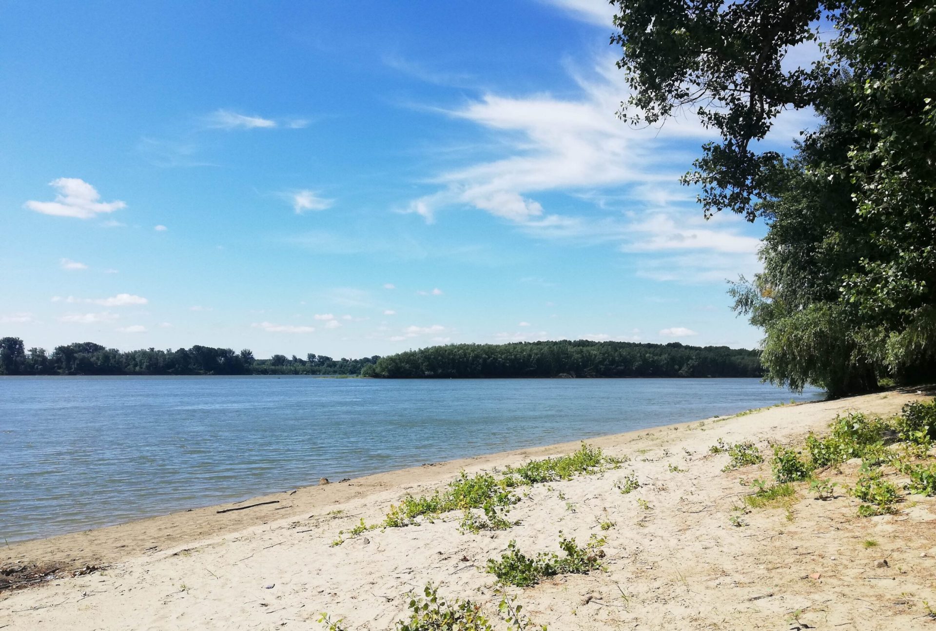 Poluare accidentală pe Dunăre în zona portului Turnu Măgurele: autoritățile acționează prompt pentru limitarea impactului O nouă situație de urgență de mediu a fost semnalată joi dimineață pe fluviul Dunărea, în dreptul portului Turnu Măgurele