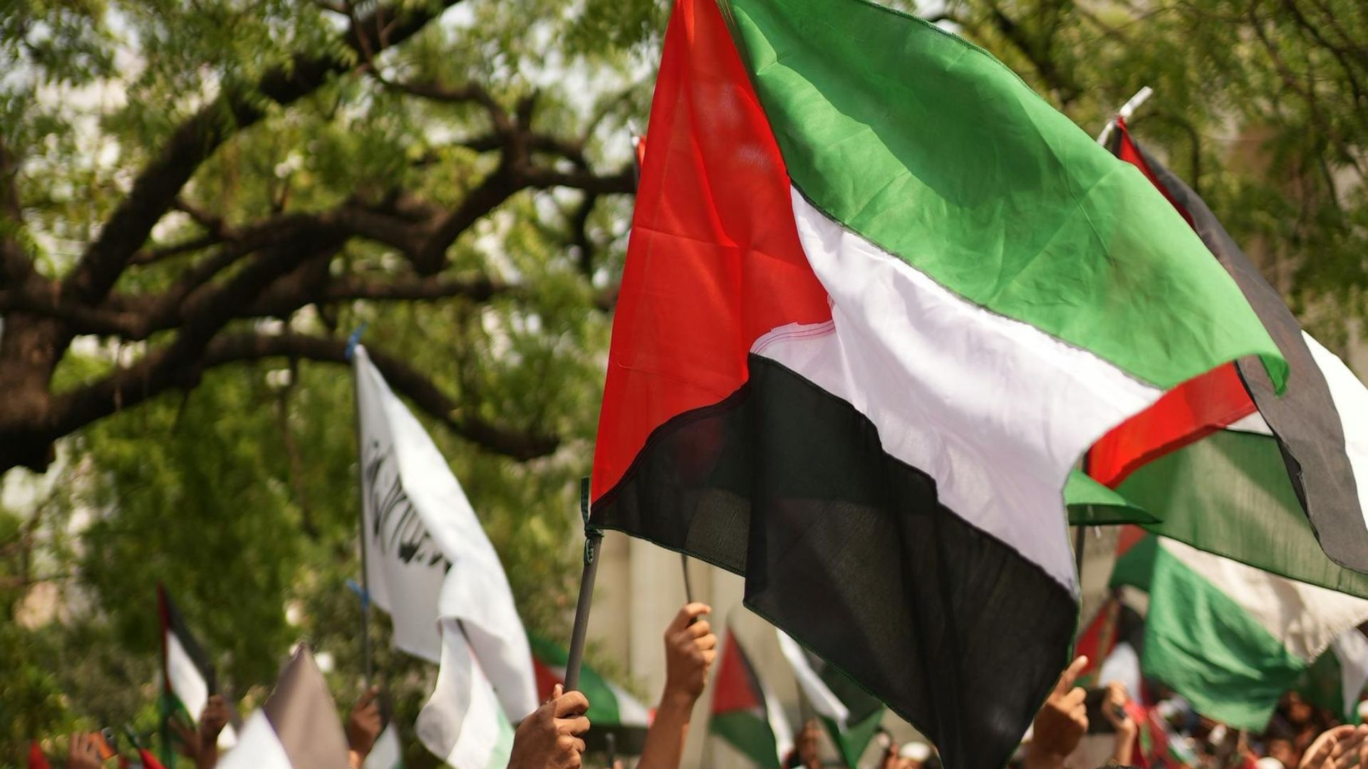 Un protest de solidaritate cu Palestina va avea loc duminică, 29 martie 2026, în centrul Capitalei, un eveniment care a fost atât autorizat, cât și avizat de autorități, și care promite să mobilizeze un număr semnificativ de participanți