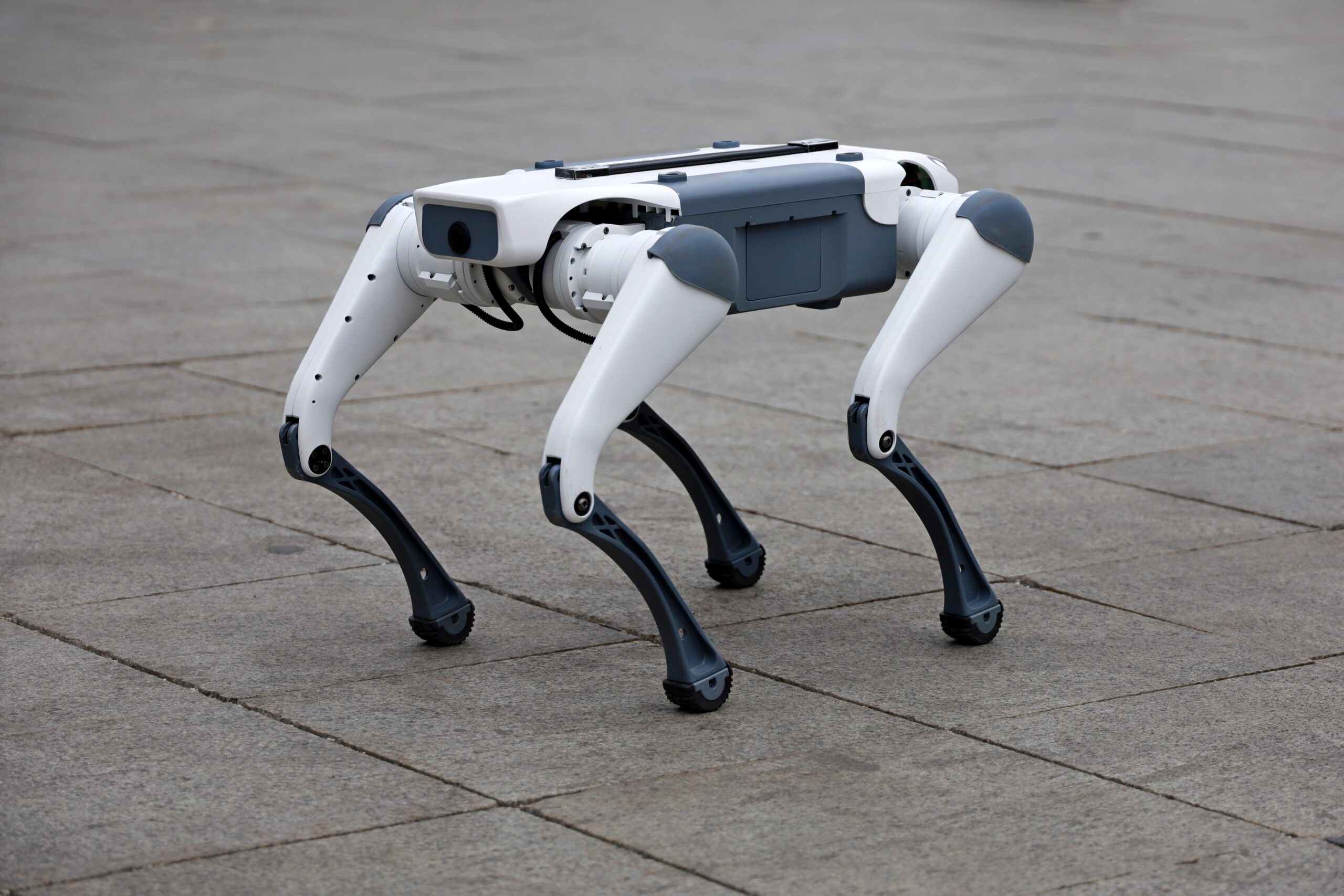 Într-un pas notabil către integrarea tehnologiei avansate în viața de zi cu zi, orașul Târgu Mureș a devenit recent gazda unui experiment inedit în domeniul salubrizării