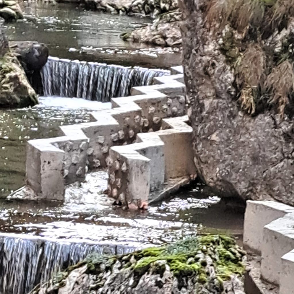 Pești morți descoperiți în aval de Barajul Reconstrucția din Piatra-Neamț, autoritățile în alertă Un incident îngrijorător a pus pe jar autoritățile din Piatra-Neamț, după ce, marți după-amiază, a fost semnalată o mortalitate masivă a peștilor în zona din aval de Barajul Reconstrucția