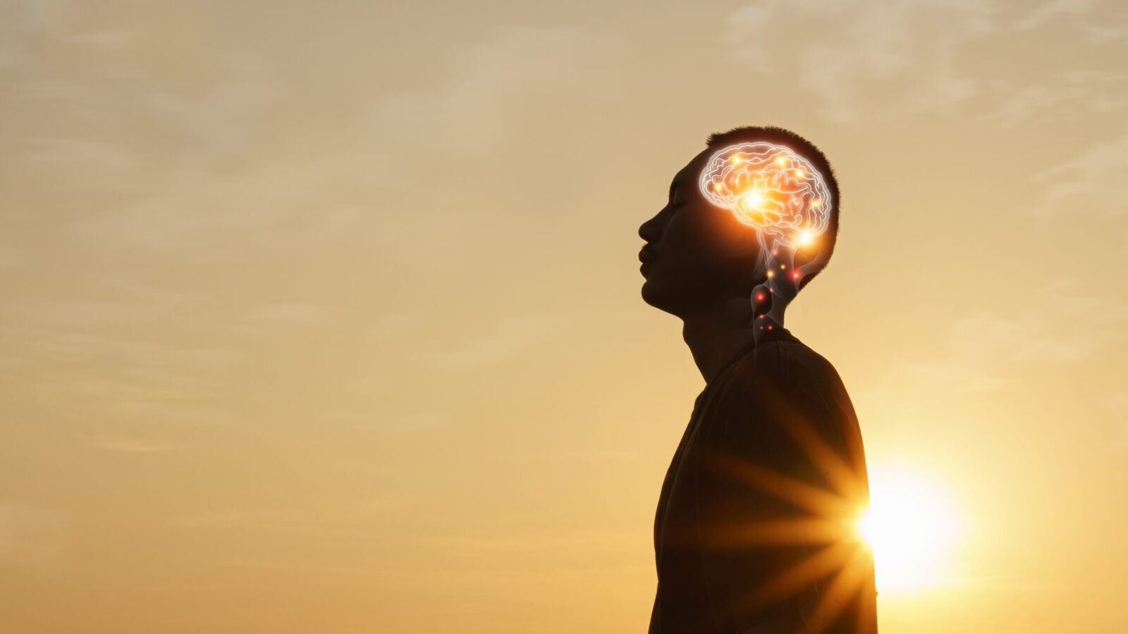 O schimbare profundă în felul în care trăim: psihologia în centrul noii paradigme sociale Anul 2026 marchează o cotitură semnificativă în modul în care percepem succesul, echilibrul și bunăstarea personală