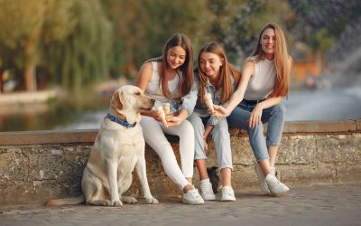 Răsturnare de situație demografică în România: În ciuda majorității feminine, trei județe au bărbați în exces În timp ce pregătirile pentru sărbătoarea Mărțișorului și 8 Martie bat la ușă, harta demografică a României dezvăluie o realitate care sfidează așteptările generale