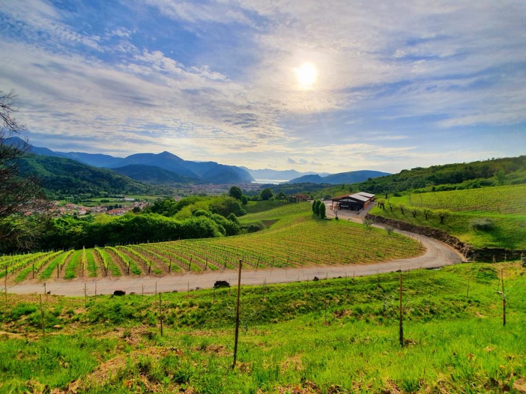 Femeile conduc o treime din întreprinderile din Toscana, iar străinii sunt la volan în cele mai multe dintre acestea În regiunea Toscana, un unul dintre cele mai frumoase și vizitate zone din Italia, situația antreprenorială are o componentă surprinzătoare: aproximativ 25% din întreprinderile locale sunt conduse de femei, iar în fruntea acestora se află adesea străini