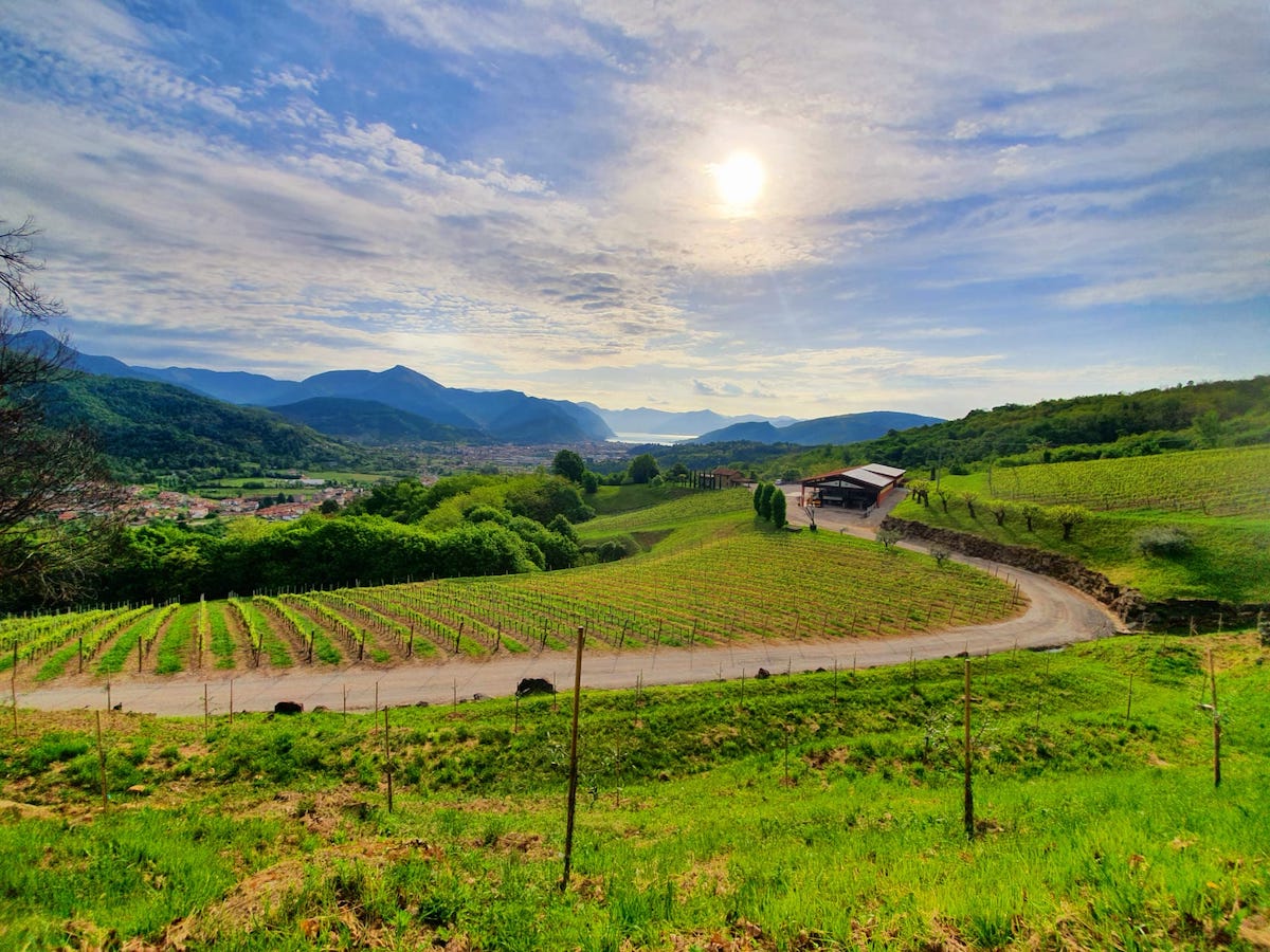 Femeile conduc o treime din întreprinderile din Toscana, iar străinii sunt la volan în cele mai multe dintre acestea În regiunea Toscana, un unul dintre cele mai frumoase și vizitate zone din Italia, situația antreprenorială are o componentă surprinzătoare: aproximativ 25% din întreprinderile locale sunt conduse de femei, iar în fruntea acestora se află adesea străini