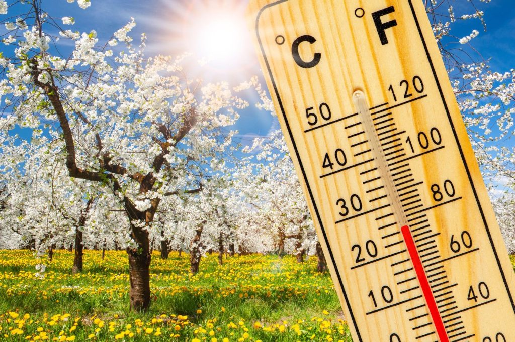 Temperaturi de aproape 20°C și ploi în următoarele zile